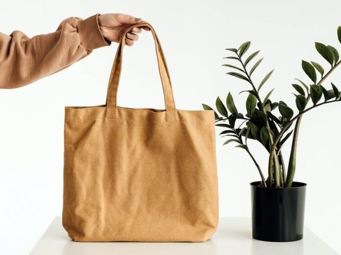 A Shopping Bag: An Excellent Replacement for a Plastic Bag