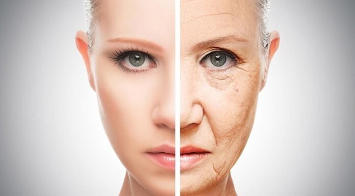 Moisturize and Rejuvenate: The Best Products for Aging Skin Moisturize and Rejuvenate: The Best Products for Aging Skin