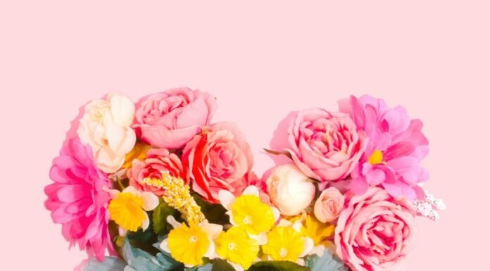 Celebrating Mom: Chic Mother’s Day Gift Ideas That Shine mothers day